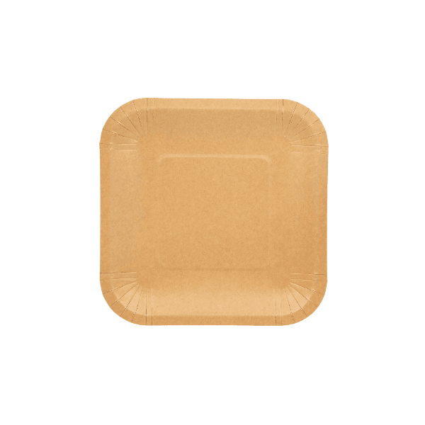6x6 Square Paper Plate