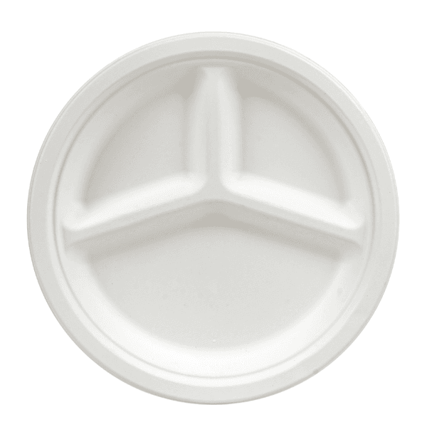 Bagasse plate
