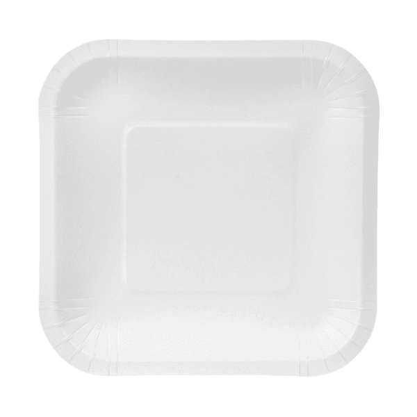 9x9 Square Paper Plate